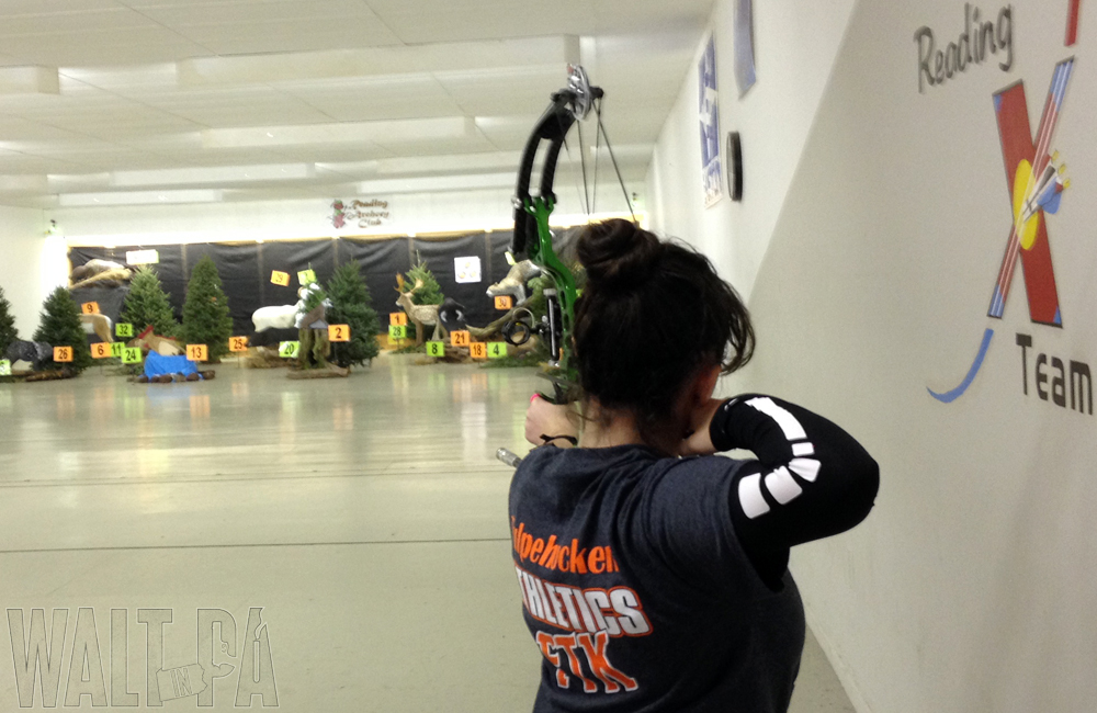 2014 Curt Peterson Southeast PA Indoor 3D Shootout - Reading Archers - Jan 2014
